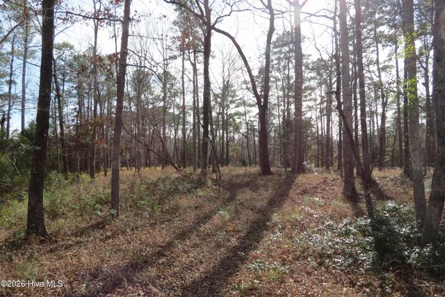 280 Winding Creek Drive, Oriental, NC 28571