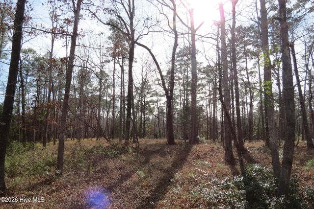 280 Winding Creek Drive, Oriental, NC 28571