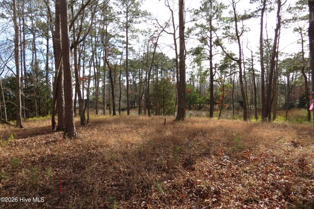 280 Winding Creek Drive, Oriental, NC 28571