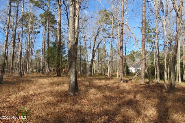 280 Winding Creek Drive, Oriental, NC 28571