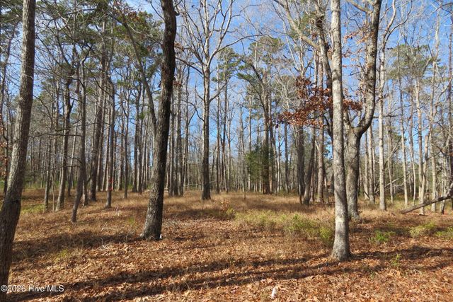 280 Winding Creek Drive, Oriental, NC 28571