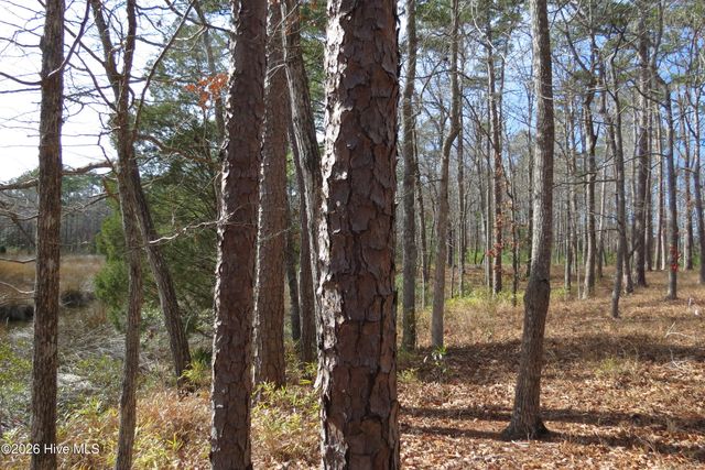 280 Winding Creek Drive, Oriental, NC 28571