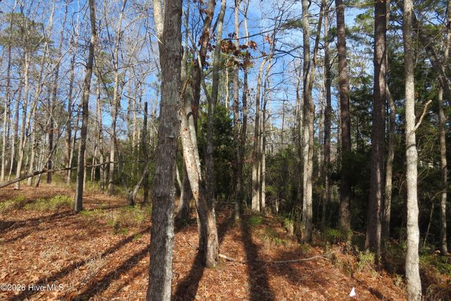 280 Winding Creek Drive, Oriental, NC 28571