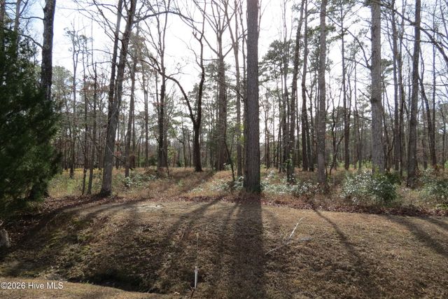 280 Winding Creek Drive, Oriental, NC 28571