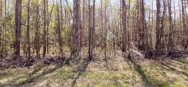 D07-3 Wood Landing Road, Grantsboro, NC 28529