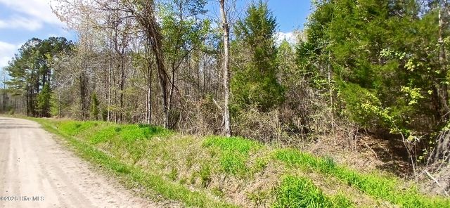D07-3 Wood Landing Road, Grantsboro, NC 28529