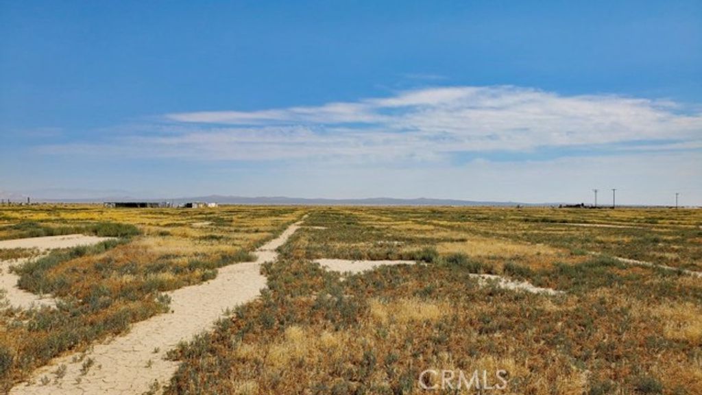 0 Vicinity Ave D11 & 52nd St E, Lancaster, CA 93536
