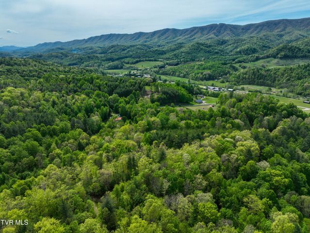 423 Pandora Fork Road, Butler, TN 37640