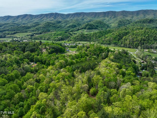 423 Pandora Fork Road, Butler, TN 37640
