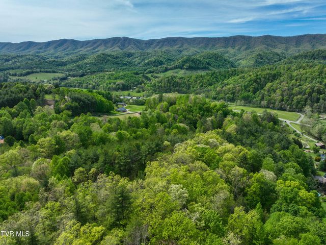 423 Pandora Fork Road, Butler, TN 37640