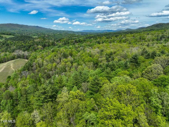 423 Pandora Fork Road, Butler, TN 37640