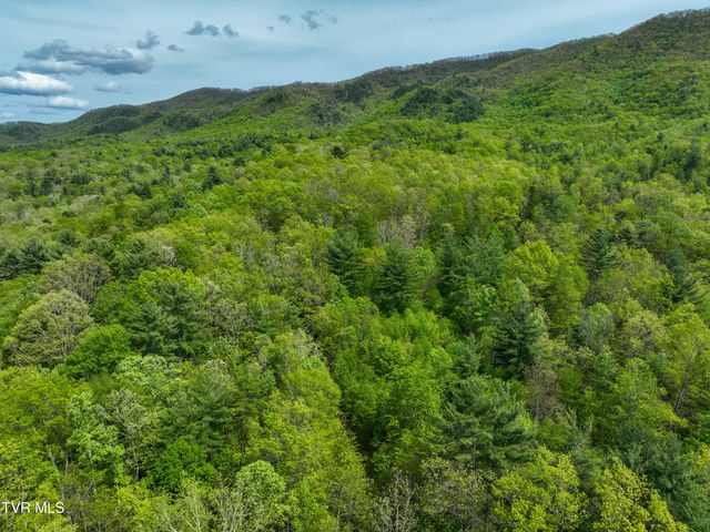 423 Pandora Fork Road, Butler, TN 37640