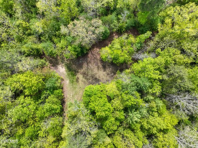 423 Pandora Fork Road, Butler, TN 37640