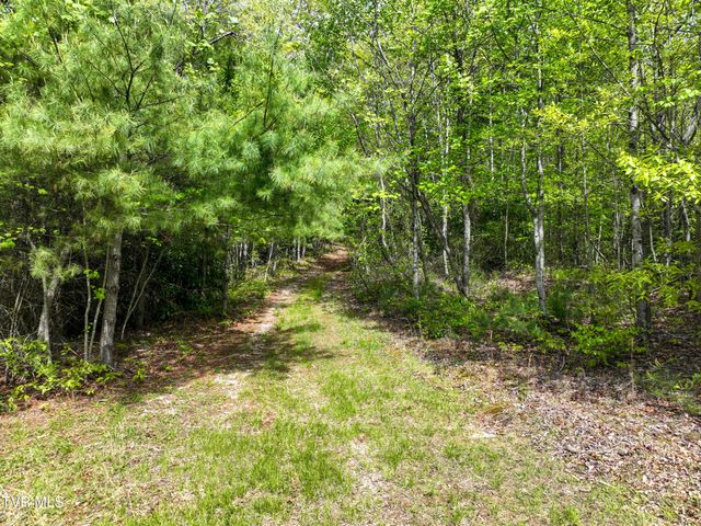 423 Pandora Fork Road, Butler, TN 37640