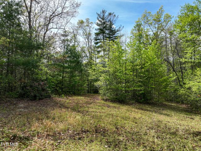 423 Pandora Fork Road, Butler, TN 37640