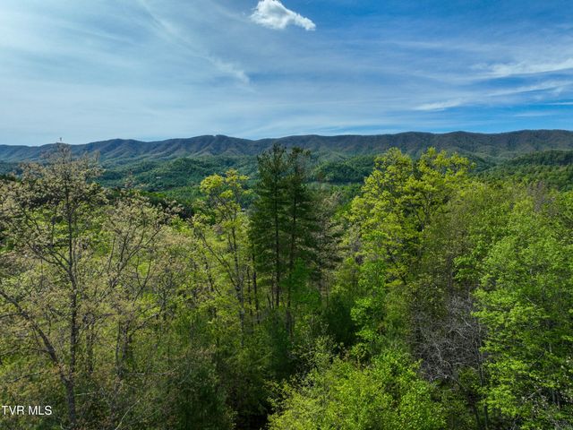 423 Pandora Fork Road, Butler, TN 37640