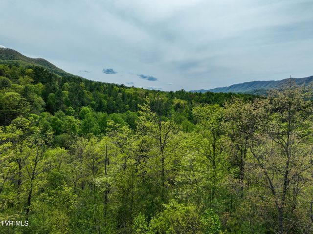 423 Pandora Fork Road, Butler, TN 37640