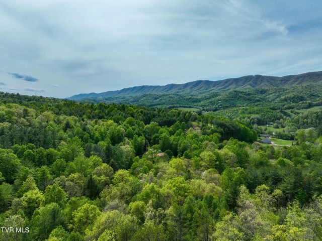 423 Pandora Fork Road, Butler, TN 37640