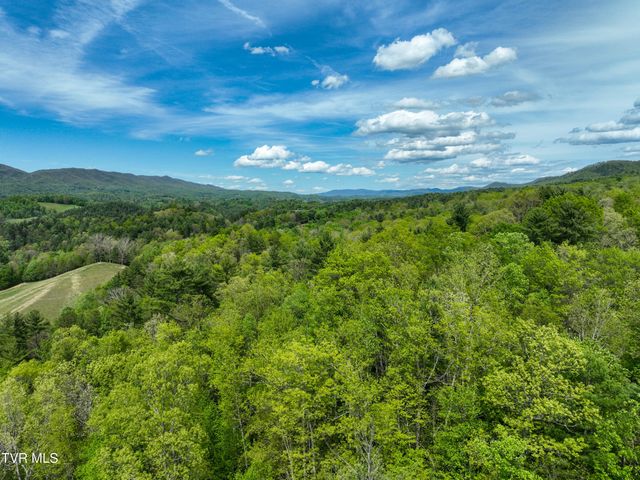 423 Pandora Fork Road, Butler, TN 37640