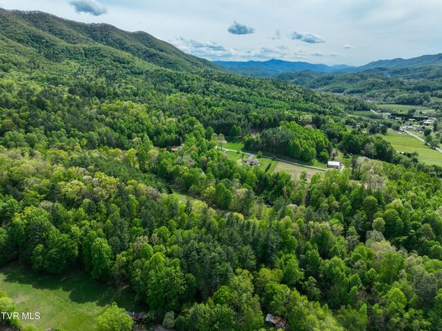 423 Pandora Fork Road, Butler, TN 37640