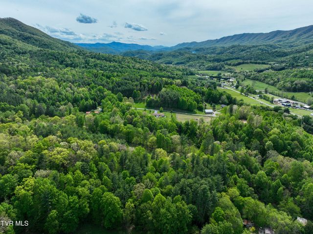 423 Pandora Fork Road, Butler, TN 37640