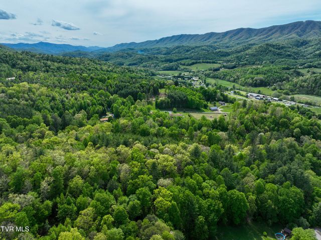 423 Pandora Fork Road, Butler, TN 37640