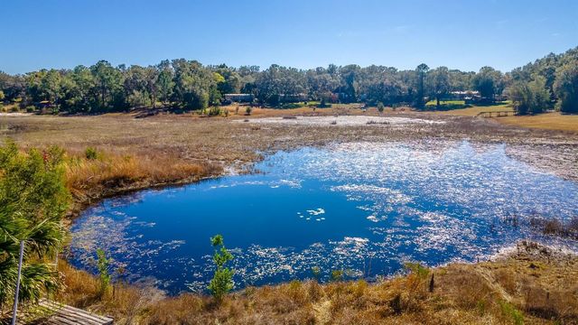 16880 SE 63RD LANE, Ocklawaha, FL 32179