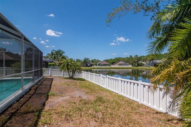 19103 WIND DANCER STREET, Lutz, FL 33558