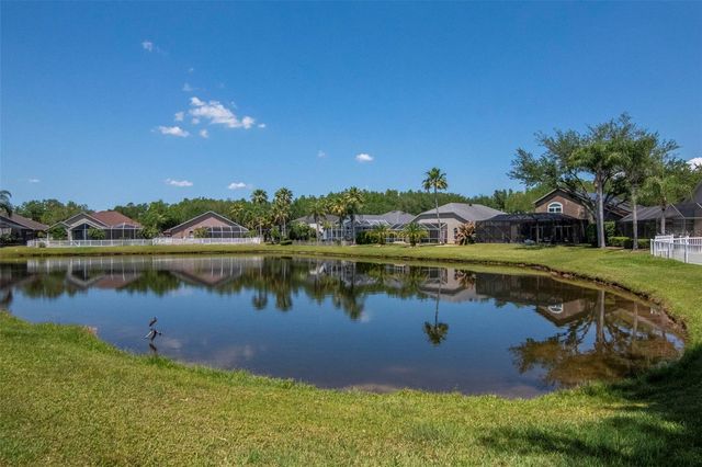 19103 WIND DANCER STREET, Lutz, FL 33558