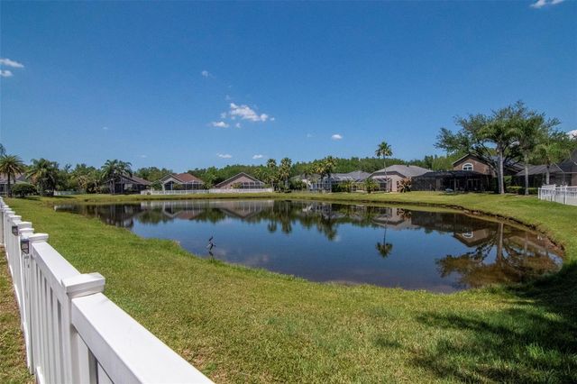 19103 WIND DANCER STREET, Lutz, FL 33558