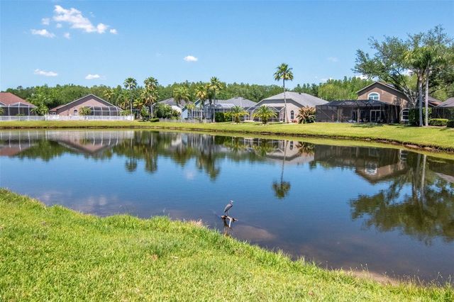 19103 WIND DANCER STREET, Lutz, FL 33558