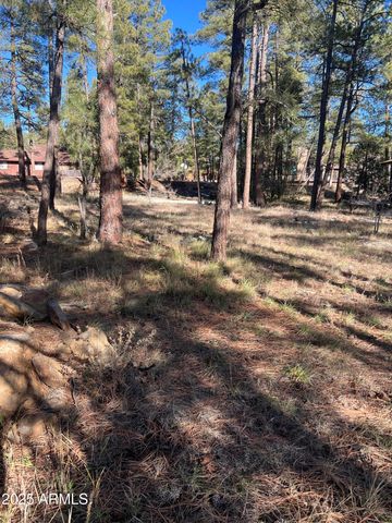 800 E Reindeer Drive, Munds Park, AZ 86017