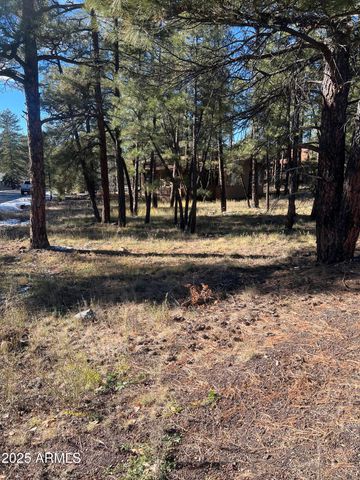 800 E Reindeer Drive, Munds Park, AZ 86017