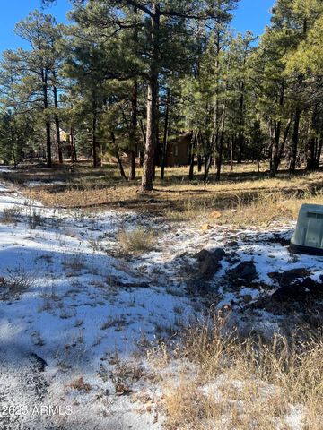 800 E Reindeer Drive, Munds Park, AZ 86017