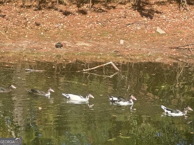 950 Lakeside Drive, Valdosta, GA 31602