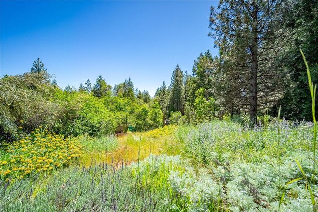 6645 Blackhawk Ln, Foresthill, CA 95631