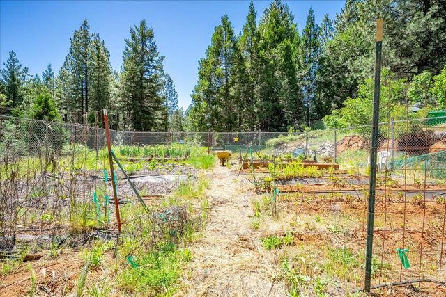 6645 Blackhawk Ln, Foresthill, CA 95631