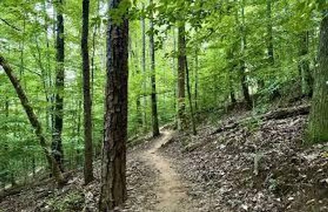 800 Reads Lake Road 305, Chattanooga, TN 37415