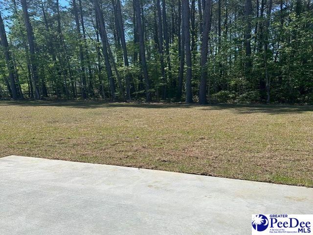 178 Pommel Street, Florence, SC 29505