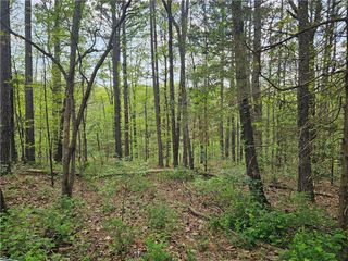 Lot 18, Block 6 Belvoir Lane, Bella Vista, AR 72715