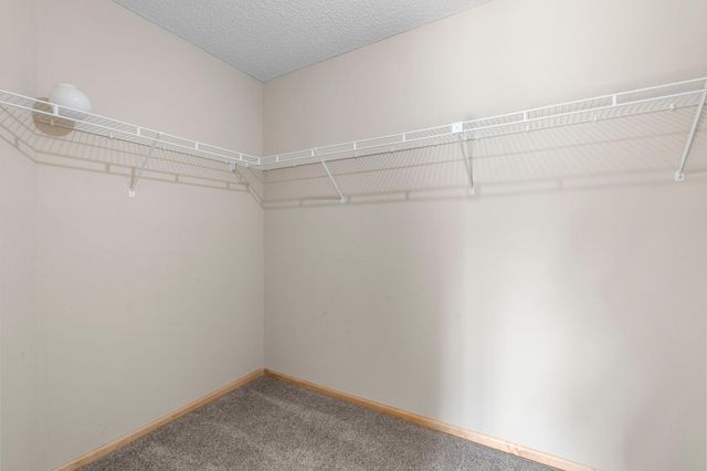 6434 Manchester Avenue NE, Otsego, MN 55301