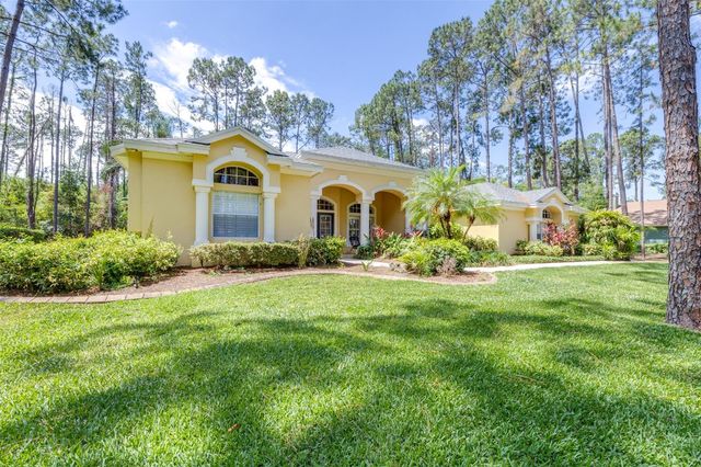 313 PINE BLUFF DRIVE, Lutz, FL 33549