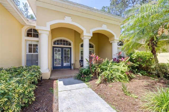 313 PINE BLUFF DRIVE, Lutz, FL 33549
