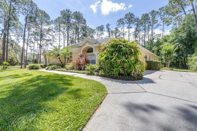 313 PINE BLUFF DRIVE, Lutz, FL 33549