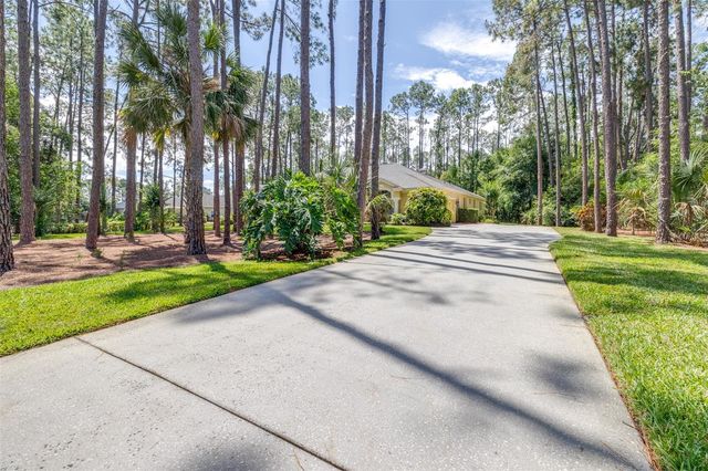 313 PINE BLUFF DRIVE, Lutz, FL 33549