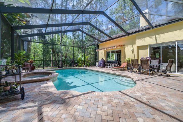313 PINE BLUFF DRIVE, Lutz, FL 33549