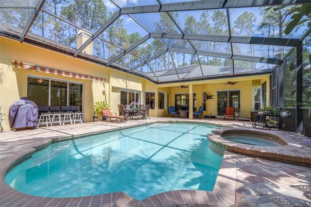313 PINE BLUFF DRIVE, Lutz, FL 33549