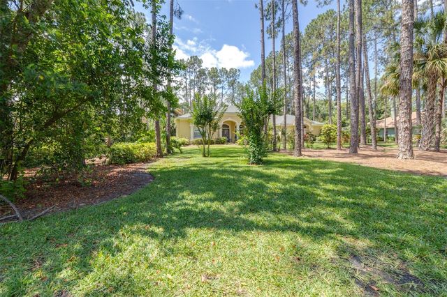 313 PINE BLUFF DRIVE, Lutz, FL 33549