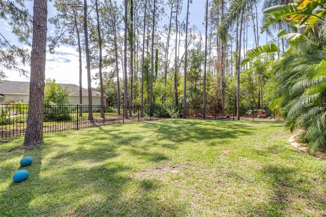 313 PINE BLUFF DRIVE, Lutz, FL 33549