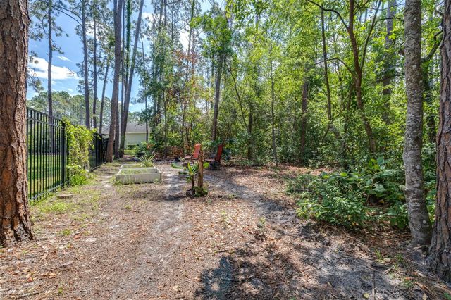 313 PINE BLUFF DRIVE, Lutz, FL 33549